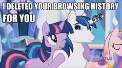 Size: 680x383 | Tagged: safe, princess cadance, shining armor, twilight sparkle, alicorn, pony, unicorn, image macro, text