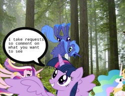 Size: 651x500 | Tagged: safe, princess cadance, princess celestia, princess luna, twilight sparkle, twilight sparkle (alicorn), alicorn, pony, 1000 hours in ms paint, alicorn tetrarchy, derp, female, forest, mare, ms paint, ponies in the forest, requests