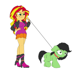 Size: 2446x2382 | Tagged: safe, edit, sunset shimmer, oc, oc:anon filly, human, pony, equestria girls, collar, drawthread, evil grin, female, femdom, filly, grin, leash, legs, pet, pet tag, pony pet, simple background, smiling, smirk, transparent background