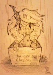 Size: 731x1024 | Tagged: safe, artist:doubt, queen chrysalis, changeling, changeling queen, box, cute, cutealis, female, filly, harmless-chryssii, pony in a box, solo, traditional art