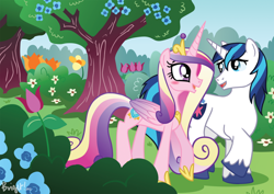 Size: 900x636 | Tagged: safe, artist:sakurakaijuu, princess cadance, shining armor, alicorn, pony, unicorn, blushing, female, flower, garden, male, shiningcadance, shipping, straight, tree