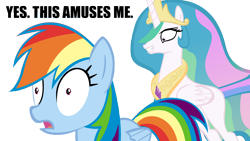 Size: 7000x3936 | Tagged: safe, artist:derpy-maple, princess celestia, rainbow dash, alicorn, pegasus, pony, dialogue, princess molestia, simple background, transparent background