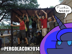 Size: 1024x768 | Tagged: safe, artist:gustav tremendous, princess luna, human, blergola, convention, convention:mlp-msp, convention:mlp-msp 2014, dergola, impact font, irl, irl human, luna is not amused, nerds, pergola, photo, unamused, vulgar