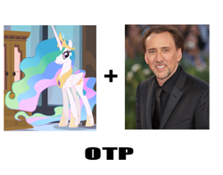 Size: 1245x978 | Tagged: safe, princess celestia, human, cagelestia, crack shipping, exploitable meme, meme, nicolas cage, otp, shipping