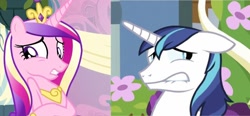 Size: 766x354 | Tagged: safe, princess cadance, shining armor, alicorn, pony, unicorn, awkward, cringing, lip bite