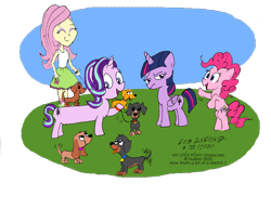 Size: 3224x2480 | Tagged: safe, artist:newportmuse, fluttershy, pinkie pie, starlight glimmer, twilight sparkle, twilight sparkle (alicorn), alicorn, dog, earth pony, pony, unicorn, equestria girls, collar, cute, daschund, diapinkes, glimmerbetes, leash, long glimmer, long pony, pet tag, shyabetes, tail wag, twiabetes, twilight is not amused, unamused