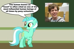 Size: 887x588 | Tagged: safe, lyra heartstrings, pony, unicorn, chalkboard, female, human studies101 with lyra, irl, mare, meme, moot, photo