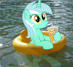 Size: 624x573 | Tagged: safe, lyra heartstrings, pony, drink, floaty, irl, photo, ponies in real life, swimming pool, vector, water