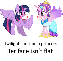 Size: 931x900 | Tagged: safe, princess cadance, twilight sparkle, twilight sparkle (alicorn), alicorn, pony, magical mystery cure, female, mare