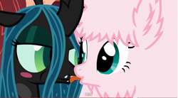 Size: 642x354 | Tagged: safe, artist:mixermike622, queen chrysalis, oc, oc:fluffle puff, changeling, changeling queen, blushing, frosting, kissing