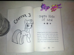 Size: 1200x900 | Tagged: safe, princess cadance, twilight sparkle, my little pony chapter books, twilight sparkle and the crystal heart spell, spoiler:book, blind bag, irl, photo, toy