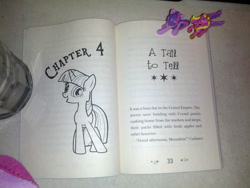 Size: 1200x900 | Tagged: safe, princess cadance, twilight sparkle, my little pony chapter books, twilight sparkle and the crystal heart spell, spoiler:book, blind bag, irl, photo, toy