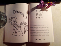 Size: 1200x900 | Tagged: safe, princess cadance, twilight sparkle, my little pony chapter books, twilight sparkle and the crystal heart spell, spoiler:book, blind bag, irl, photo, text, toy