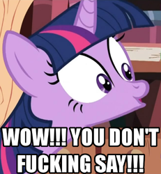 Size: 462x500 | Tagged: safe, derpibooru import, edit, edited screencap, screencap, twilight sparkle, pony, unicorn, female, image macro, mare, meme, reaction image, solo, vulgar, you don't say