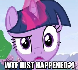 Size: 389x350 | Tagged: safe, derpibooru import, edit, edited screencap, screencap, twilight sparkle, pony, unicorn, confused, female, mare, reaction image, solo, wtf