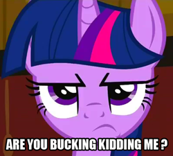 Size: 400x360 | Tagged: safe, derpibooru import, edit, edited screencap, screencap, twilight sparkle, pony, unicorn, annoyed, are you kidding, female, mare, reaction image, solo