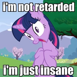 Size: 720x719 | Tagged: safe, derpibooru import, edit, edited screencap, screencap, twilight sparkle, pony, unicorn, female, image macro, insanity, mare, solo