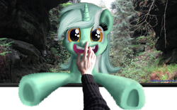 Size: 2000x1250 | Tagged: safe, artist:deathpwny, lyra heartstrings, human, pony, unicorn, boop, female, fourth wall, hand, looking at you, mare, smiling, underhoof