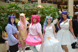 Size: 4608x3072 | Tagged: safe, artist:lochlan o'neil, fluttershy, pinkie pie, princess celestia, rarity, twilight sparkle, human, cosplay, irl, irl human, photo