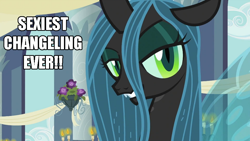 Size: 992x558 | Tagged: safe, edit, edited screencap, screencap, queen chrysalis, changeling, changeling queen, a canterlot wedding, bust, image macro, meme, opinion, sexiest pony alive, solo