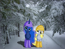 Size: 1280x960 | Tagged: safe, artist:austiniousi, artist:tokkazutara1164, derpy hooves, princess luna, pegasus, pony, boots, cap, female, hat, irl, mare, pathway, photo, ponies in real life, shadow, snow, tree, vector