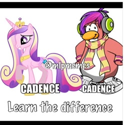 Size: 500x500 | Tagged: safe, princess cadance, alicorn, penguin, pony, club penguin, comparison, know the difference, mispelled names, misspelling, name