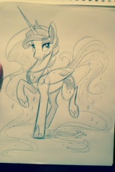 Size: 640x960 | Tagged: safe, artist:probablyfakeblonde, princess luna, alicorn, pony, monochrome, solo, traditional art