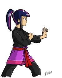 Size: 656x824 | Tagged: safe, artist:netcyber, derpibooru import, twilight sparkle, human, clothes, female, humanized, martial arts, my little asskicker, red belt, robe, sarong, serious, serious face, silat, simple background, solo, trousers, white background