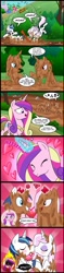 Size: 663x2797 | Tagged: safe, artist:madmax, fleur-de-lis, princess cadance, shining armor, alicorn, pony, unicorn, accidental shipping, angry, black sclera, blushing, cadance is an idiot, comic, exclamation point, eye contact, eyes closed, female, fire, fleurarmor, funny, glowing eyes, gone horribly right, grin, heart, interrobang, kissing, love spell, male, mare, mud, open mouth, question mark, rage, shining armor gets all the mares, shipping, slice of life, smiling, stallion, this will end in a night on the couch, this will end in pain and/or death