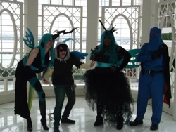 Size: 2048x1536 | Tagged: artist needed, safe, discord, queen chrysalis, human, 2013, convention, cosplay, irl, irl human, katsucon, photo, rose, sunglasses