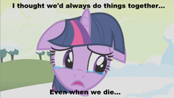 Size: 853x480 | Tagged: safe, derpibooru import, edit, edited screencap, screencap, twilight sparkle, pony, unicorn, winter wrap up, crying, female, floppy ears, image macro, last alert, mare, snow, solo