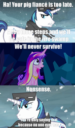 Size: 1280x2160 | Tagged: safe, princess cadance, shining armor, alicorn, pony, unicorn, snow goggles, text, the princess bride