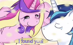 Size: 1000x625 | Tagged: dead source, safe, artist:jencita, princess cadance, shining armor, alicorn, pony, unicorn, crying