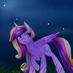 Size: 1000x1000 | Tagged: safe, artist:sugarberry, princess cadance, alicorn, firefly (insect), pony, female, mare, night, raised hoof, solo