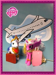 Size: 717x960 | Tagged: safe, princess cadance, shining armor, pony, unicorn, brushable, irl, official, photo, plane, suitcase, toy