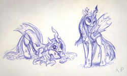 Size: 1200x720 | Tagged: safe, artist:kp-shadowsquirrel, queen chrysalis, changeling, changeling queen, ballpoint pen, female, monochrome, sketch, traditional art