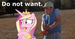 Size: 658x342 | Tagged: safe, princess cadance, alicorn, pony, do not want, ernest goes to camp, ernest p. worrell, jim varney, ponies in real life, reaction image