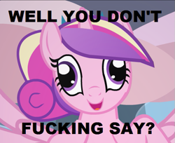 Size: 525x429 | Tagged: safe, princess cadance, alicorn, pony, cadenceflash, derp, image macro, solo, tiarawhy, vulgar, you don't say