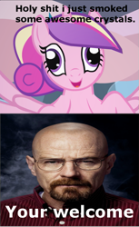 Size: 525x858 | Tagged: safe, artist:tiarawhy, princess cadance, human, breaking bad, bryan cranston, cadenceflash, caption, crystal meth, derp, drugs, faic, grammar error, irl, irl human, photo, vulgar, walter white