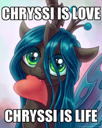 Size: 500x625 | Tagged: safe, artist:kp-shadowsquirrel, edit, queen chrysalis, changeling, changeling queen, :3, cute, cutealis, exploitable meme, heart, looking at you, meme, mouth hold, nom, shrek is love shrek is life, smiling, solo