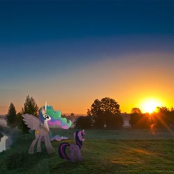 Size: 768x768 | Tagged: safe, princess celestia, twilight sparkle, irl, photo, ponies in real life, sunset
