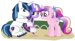 Size: 900x490 | Tagged: safe, artist:dm29, princess cadance, shining armor, twilight sparkle, alicorn, pony, unicorn, blood, cut, cute, filly, filly twilight sparkle, helmet, injured, roller skates, simple background, transparent background, trio, twiabetes, twily