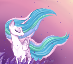 Size: 800x700 | Tagged: safe, artist:floofurr, princess celestia, alicorn, pony, eyes closed, female, flower, gradient background, mare, solo, speedwell, windswept mane