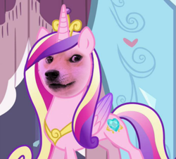 Size: 647x584 | Tagged: safe, edit, edited screencap, screencap, princess cadance, alicorn, pony, doge, solo