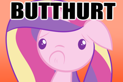 Size: 1280x853 | Tagged: safe, artist:albinon, princess cadance, alicorn, pony, butthurt, caption, image macro, reaction image, solo