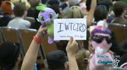 Size: 1281x714 | Tagged: safe, artist:chillzmaster, princess cadance, spike, human, /mlp/, 4chan, bronycon, irl, irl human, iwtcird, photo, plushie, spike plushie, this guy deserves a medal