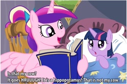 Size: 1024x683 | Tagged: safe, princess cadance, twilight sparkle, unicorn twilight, alicorn, pony, unicorn, bed, bedtime story, blanket, book, bow, cadance's bedtime stories, chair, detailed background, discworld, duo, duo female, exploitable meme, female, females only, filly, filly twilight sparkle, hair bow, hoof hold, horn, image macro, looking at each other, looking up, meme, multicolored mane, open mouth, pillow, pink coat, pink wings, purple coat, purple eyes, reading, sitting, smiling, spread wings, text, thud!, where is my cow?, wings, younger