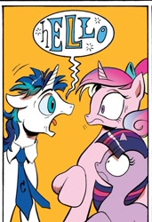 Size: 388x567 | Tagged: safe, idw, princess cadance, shining armor, twilight sparkle, alicorn, pony, unicorn, neigh anything, spoiler:comic, spoiler:comic11, colt, dishevelled, exploitable meme, female, filly, filly twilight sparkle, hello, male, meme, messy mane, necktie, raised hoof, screaming armor, teen princess cadance, tiny pupils, younger