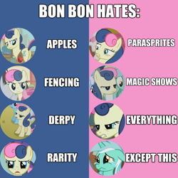 Size: 1000x1000 | Tagged: safe, bon bon, lyra heartstrings, sweetie drops, bon bon is not amused, female, hate, image macro, lesbian, love, lyrabon, shipping