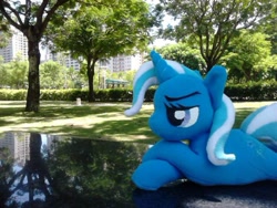 Size: 640x480 | Tagged: artist needed, safe, derpibooru import, trixie, pony, unicorn, female, irl, mare, photo, plushie, solo